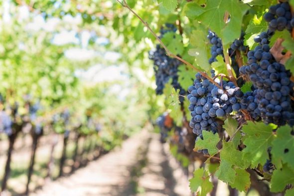  Vivanco Cultura de Vino Oferta de Enoturismo en La Rioja