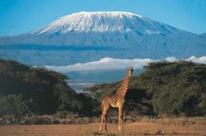 Los Volcanes Inactivos de África, El Kilimanjaro